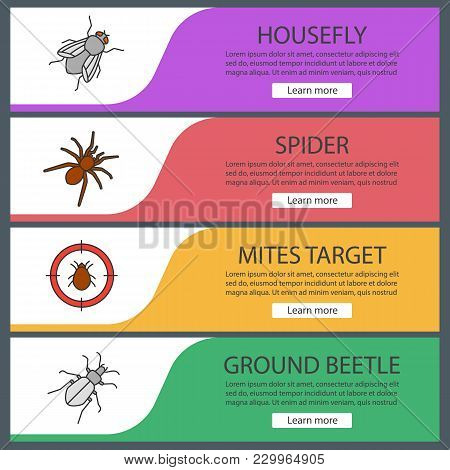Pest Control Web Banner Templates Set. Housefly, Spider, Mites Target, Ground Beetle. Website Color 
