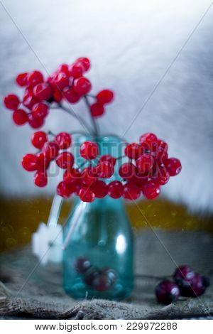 Ripe Bunch Of Red Viburnum On A Beautiful Bokeh Background Rustic Style Still Life On A Table Viburn