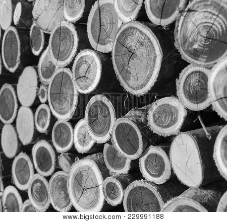 Stacked Trunks Outside A House For Stove