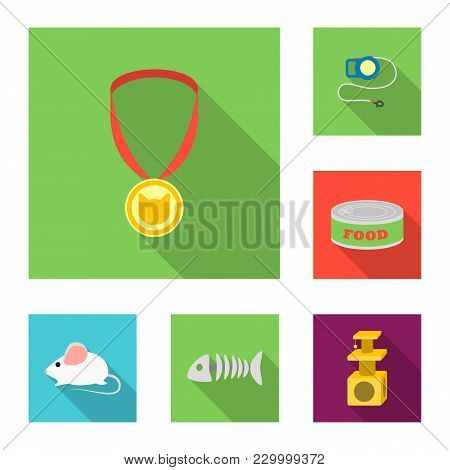 An Animal Cat Flat Icons In Set Collection For Design. Caring For A Cat Vector Symbol Stock  Illustr
