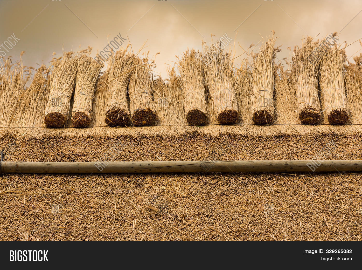 Thatched Roof House Image Photo Free Trial Bigstock