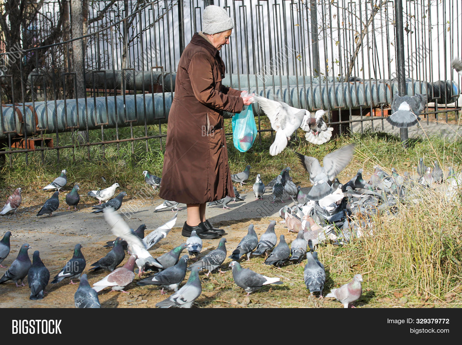 Старика кормят с ложки фото. Друзья в старости. Happy senior party. Бабка кормит голубей. Старый голубь.