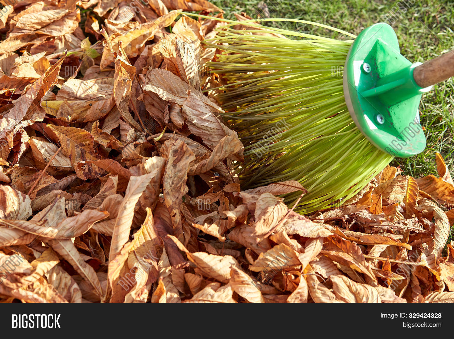 Sweeping Dry Leaves Image & Photo (Free Trial) Bigstock