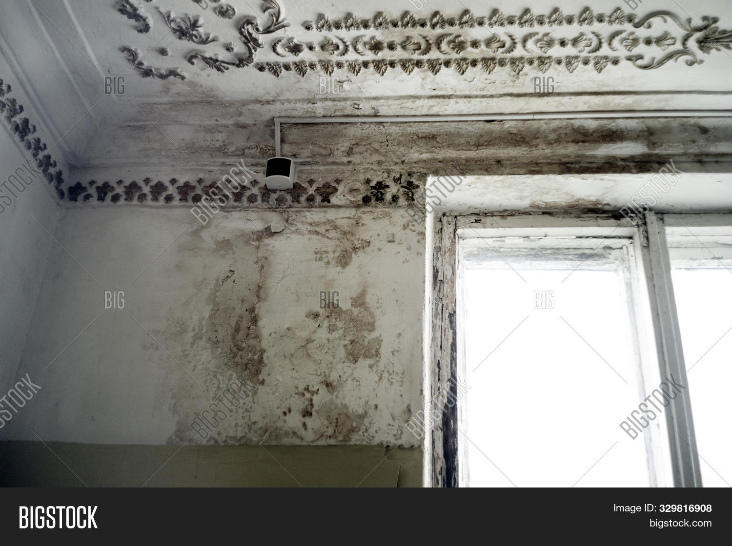 Rain Water Leaks On Image Photo Free Trial Bigstock