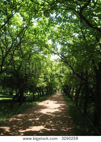 Giornata di sole