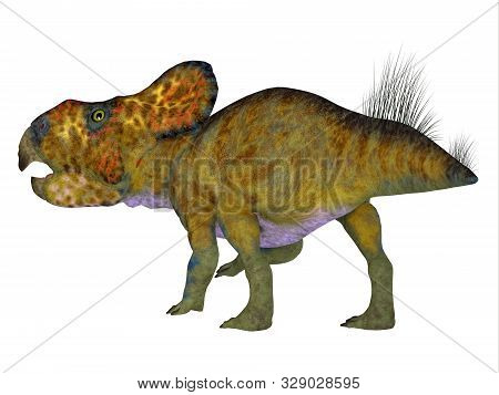 Protoceratops Male Dinosaur Tail 3d Illustration - Protoceratops Was A Herbivorous Ceratopsian Dinos