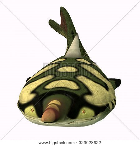 Pteraspis Fish Head 3d Illustration - Pteraspis Was A Carnivorous Marine Fish That Was Heavily Armor