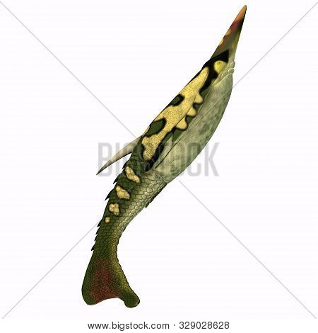 Pteraspis Fish Tail 3d Illustration - Pteraspis Was A Carnivorous Marine Fish That Was Heavily Armor