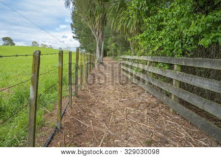 Arapuni, New Zealand - New Zealand Cycle Trail And Waikato River Trail Along High Bluffs Above Waika
