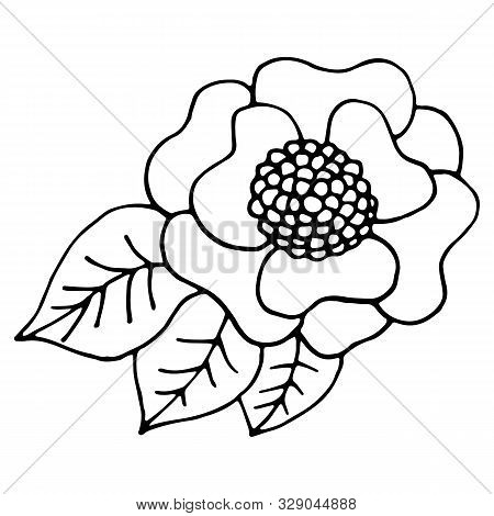 Ornamental Leavesand Flowers In Doodle Style. Hand Drawn Illustrations On White Background. Black Si