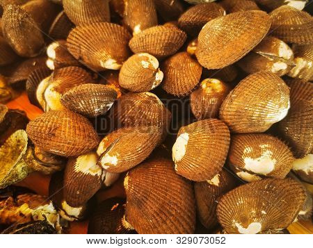 Clams In Fish Market. Close Up Of Pile Of Clams On Display In Fish Market.