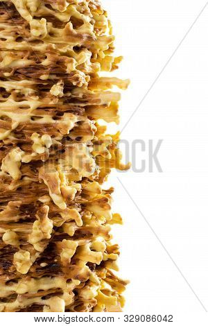 Sakotis (sekacz) -  Traditional Cake In Lithuanian And Polish Cuisine Isolated On White Background.