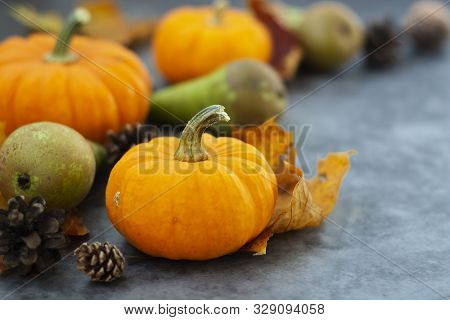 Autumn Background With Pumpkins On Dark Board. Halloween, Thanksgiving Orange Little Pumpkins.