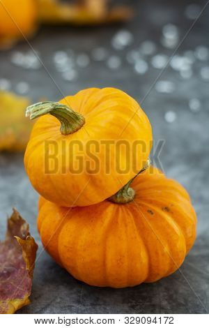 Autumn Background With Pumpkins On Dark Board. Halloween, Thanksgiving Orange Little Pumpkins.