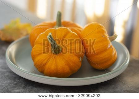 Autumn Background With Pumpkins On Dark Board. Halloween, Thanksgiving Orange Little Pumpkins.