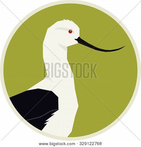 Birds Collection Andean Avocet Vector Illustration Round Frame Set