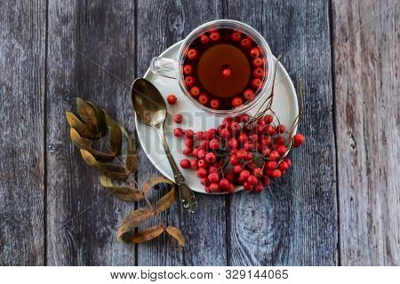 Hot Healing Tea, Mountain Ash Tea. Applied With A Lack Of Vitamins, Anemia, Metabolic Disorders. Red