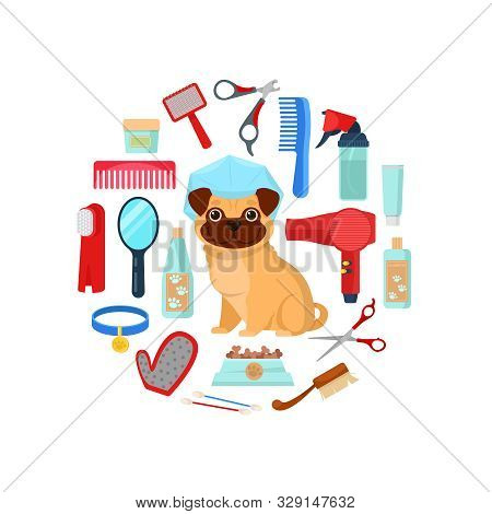 Grooming Tools For Domestic Animals And Dog On White Background.