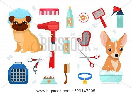 Collection Of Grooming Tools For Domestic Animals On White Background. Set Of Accessories For Care A
