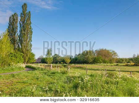 Paisaje holandés en primavera