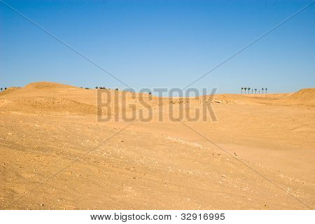 Egyptiske ørken