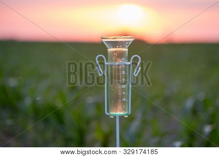 Rain Gauge For Water Measurement Standing In Corn Field At Sunset