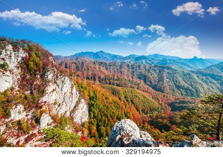 Autumn In Buila Vanturarita, Carpathian Mountains, Romania. Vivid Fall Colors In Forest. Scenery Of 
