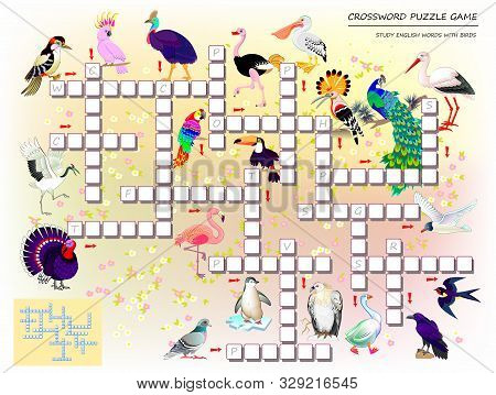 Crossword Puzzle Game For Kids With Cute Birds. Educational Page For Children For Study English Lang