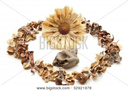 Pot-pourri