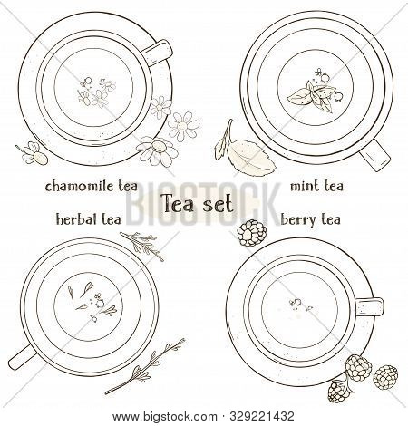 Set With Cups Of Tea. Chamomile, Mint, Herbal And Berry Tea. For Restaurant Menu, Processing, Health