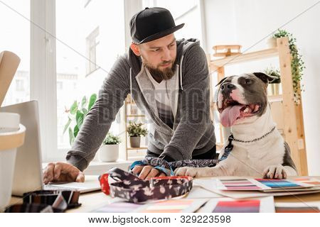 Young casual man looking at his dog while bending over workplace with laptop and working over new collar collection