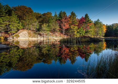Enchanting Reflection Of The Canadian Forest Painted In The Fall Colors