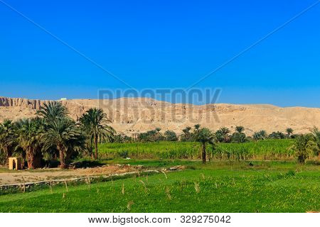 Fertile Banks Of The Nile. Valley Of The Nile River. Palm Trees And Fields On Nile Riverside In Egyp