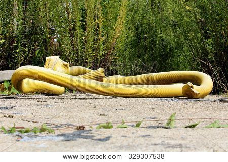 Large Diameter Bendable Yellow Plastic Hose Left On Abandoned Construction Site Surrounded With Conc