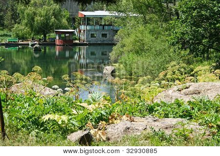 Lake In Park