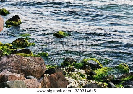 Bulgarian Black Sea In Ravda Village