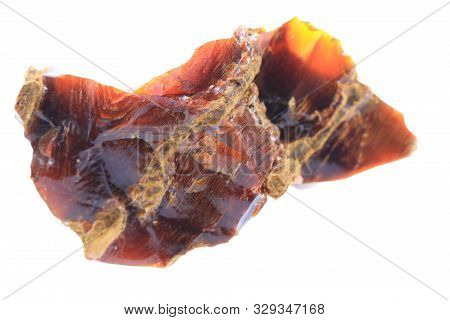 Wooden Opalite Mineral Isolated
