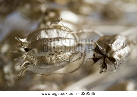 Gouden bloemen