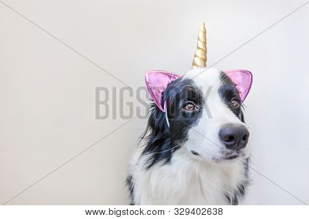 Funny Kawaii Portrait Puppy Dog Border Collie With Unicorn Horn Isolated On White Background. Dog Wi