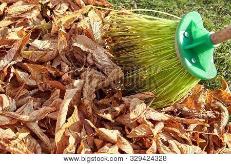 Sweeping Dry Leaves With Broom.autumn, Fall Season.sweep The Leaves, Sweep People, Clean The Garden.