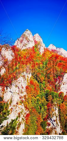 Autumn In Buila Vanturarita, Carpathian Mountains, Romania. Vivid Fall Colors In Forest. Scenery Of 
