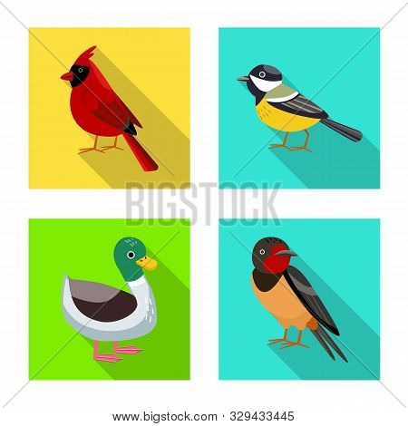Isolated Object Of Animal And Wild Sign. Set Of Animal And Natural Stock Vector Illustration.