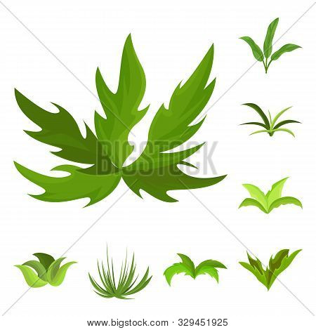 Vector Design Of Garden And Grass Icon. Collection Of Garden And Shrub Stock Vector Illustration.