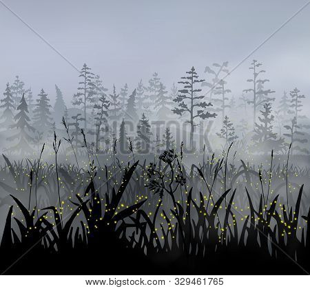 The Edge Of Magic Firest With Fireflies Flying Above The Grass, Beautiful Mist And Old Trees.
