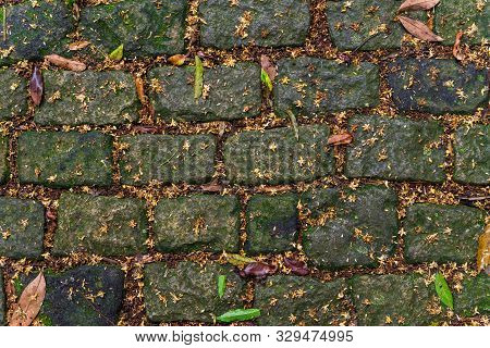 Abstract Background Of Pebblestone Road With Leaves And Grass.