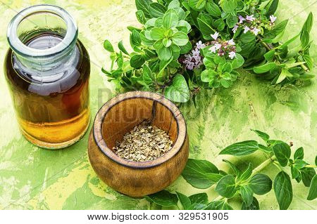 Fresh And Dried Oregano Herb