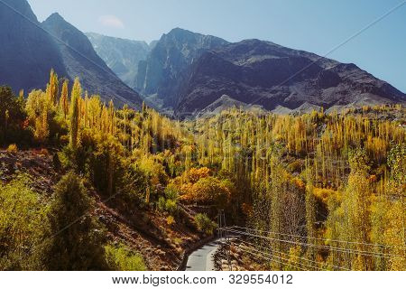 Beautiful Landscape View Of Gupis Valley. Colorful Trees In Autumn Season Against Hindu Kush Mountai