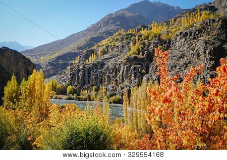Beautiful Landscape View Of Gupis Valley. Colorful Trees In Autumn Season Against Hindu Kush Mountai
