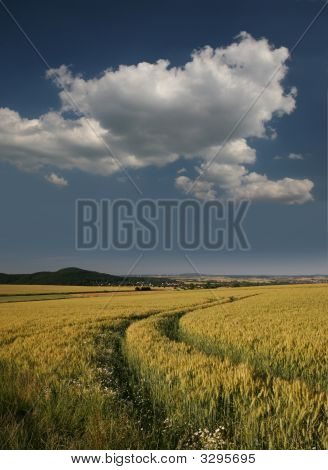 W zakresie Niemcy, Gerstenfeld Bei Kassel