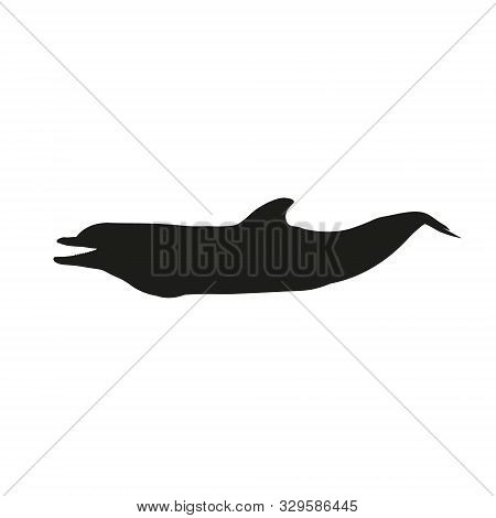 Silhouette Of Dolphin, Vector In Flat Style